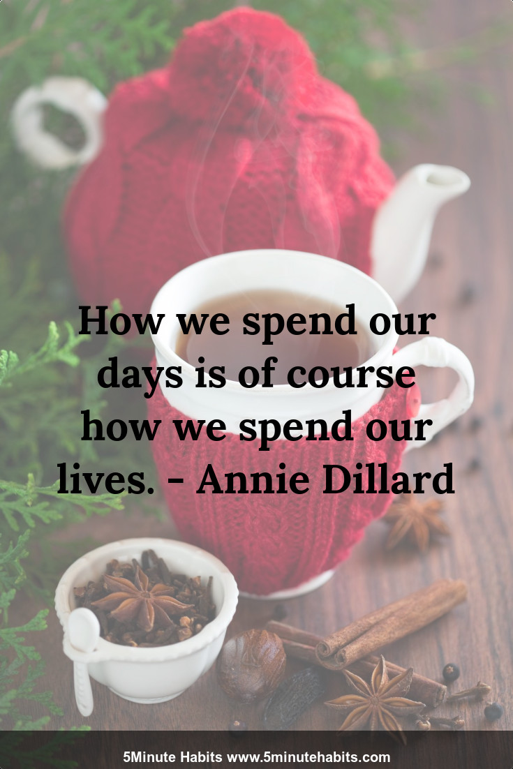 How we spend our days is of course how we spend our lives. - Annie Dillard